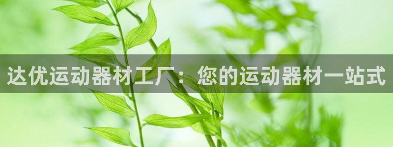 意昂3代理：达优运动器材工厂：您的运动器材一站式