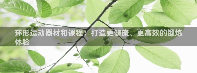 意昂3神州：环形运动器材和课程：打造更健康、更高效的