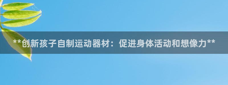 意昂3代理：**创新孩子自制运动器材：促进身体活动和