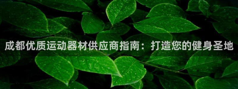 意昂体育3开户:成都优质运动器材供应商指南:打造您的健身圣地